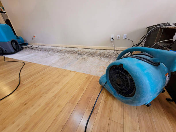 Professional Sewage Cleanup technician working in Ashley, PA